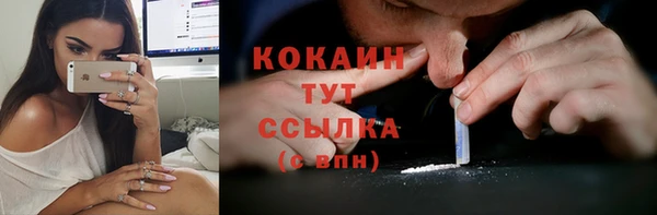 сатива Покачи