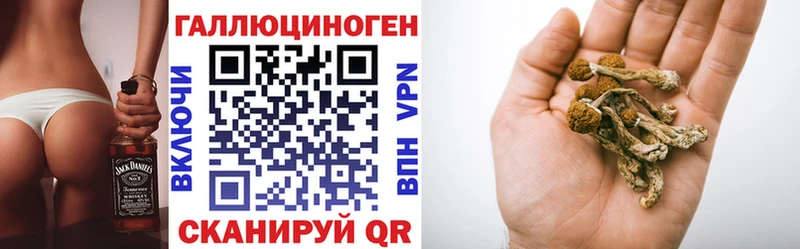 продажа наркотиков  Новоузенск  Галлюциногенные грибы прущие грибы 